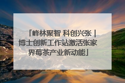 峰林聚智 科创兴张｜博士创新工作站激活张家界莓茶产业新动能